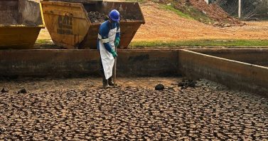 Ambiental MS Pantanal avança na gestão do lodo em Mato Grosso do Sul