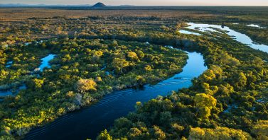 No Dia Mundial das Áreas Úmidas, saneamento e educação ambiental reforçam a preservação do Pantanal
