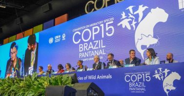 Saneamento é importante aliado da proteção da biodiversidade e de espécies migratórias em MS