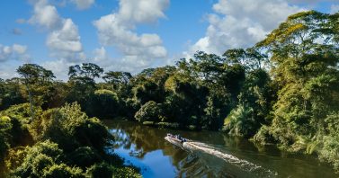 Do quintal urbano ao coração do Pantanal: Como o tratamento de esgoto ajuda a proteger a biodiversidade pantaneira