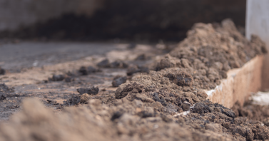 Biofertilizante transforma realidades no campo de MS